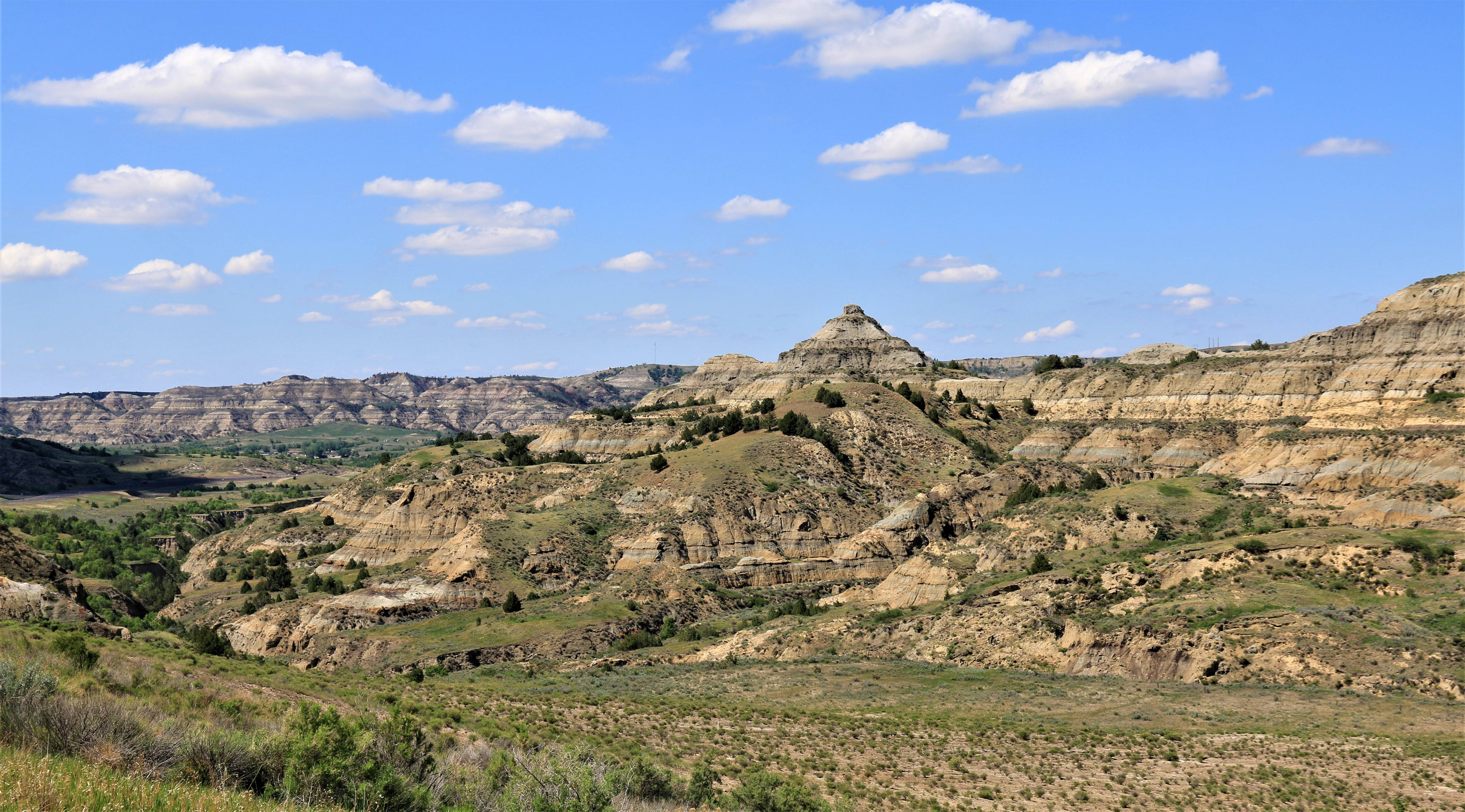 Theodore Roosevelt NP